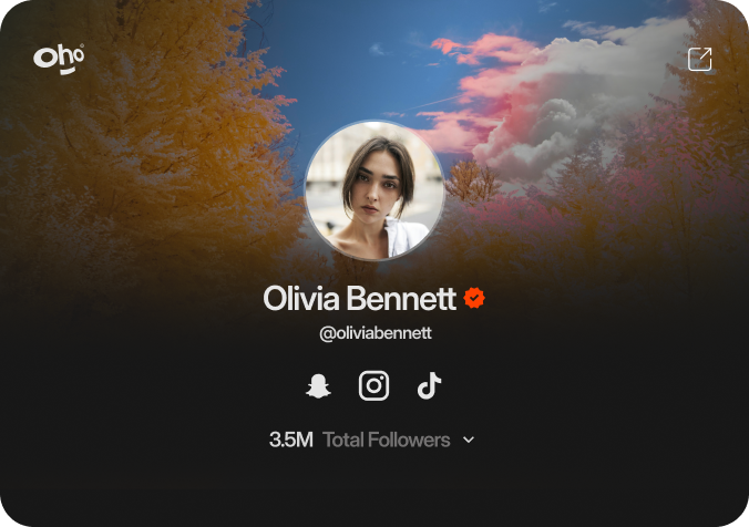 Creator profile preview